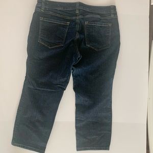 Ann Taylor Loft Modern Crop Jeans